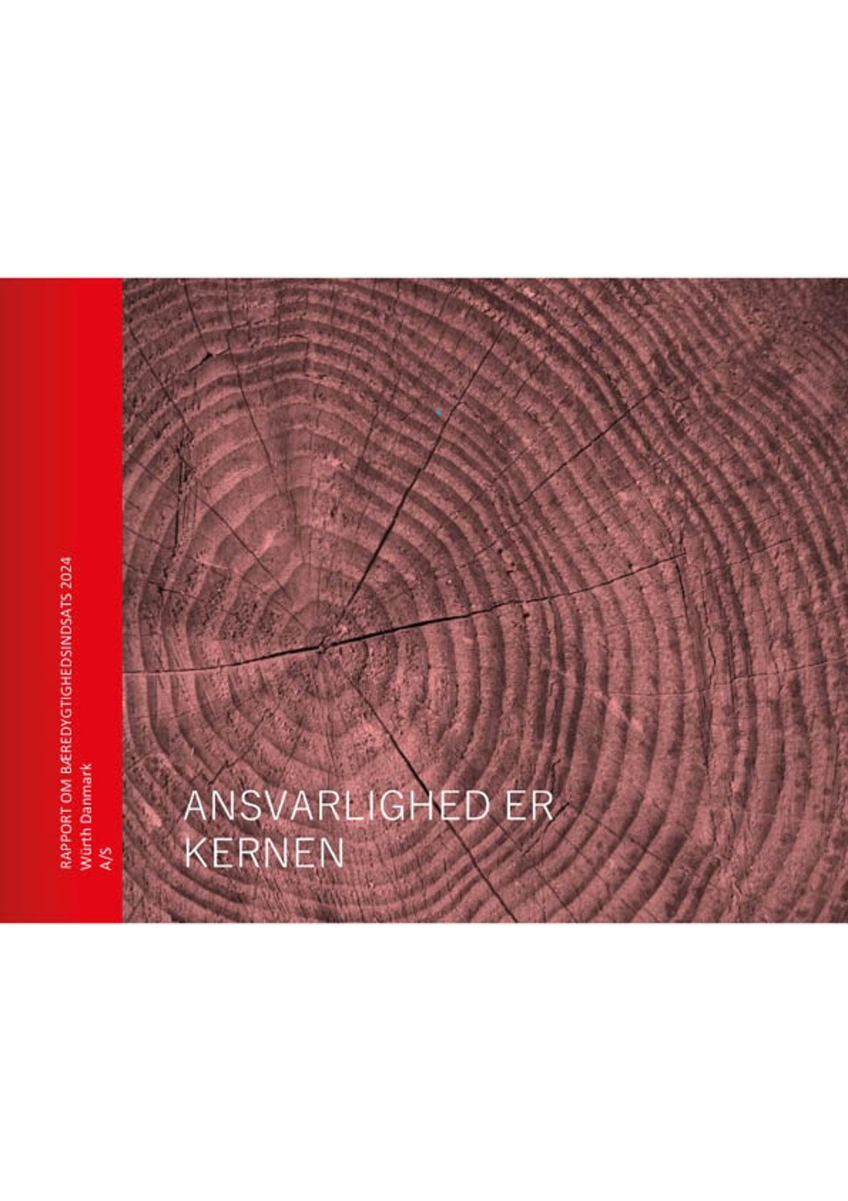 RAPPORT OM BÆREDYGTIGHEDSINDSATS 2024